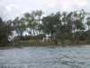 The cleared shoreline from the water side. The cleared shoreline from the water side.