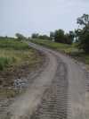 Entrance road. Entrance road.
