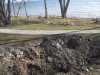 The waterline and new grass at the path. The waterline and new grass at the path.